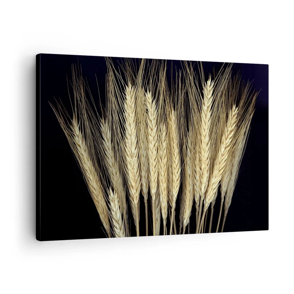 Quadro em tela - Espigas de trigo em um fundo preto em estilo rústico - 70x50cm - Magia rústica - Decoração de parede moderna para a sala de estar e quarto ARTTOR