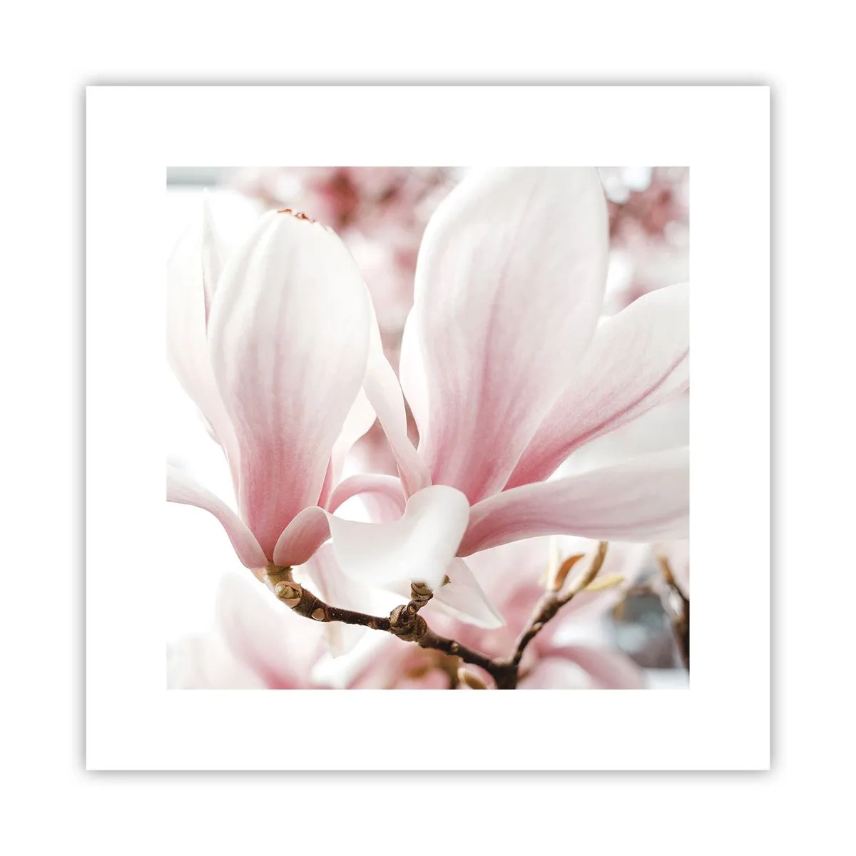 Pôster - Sensibilidade infinita - 30x30 cm