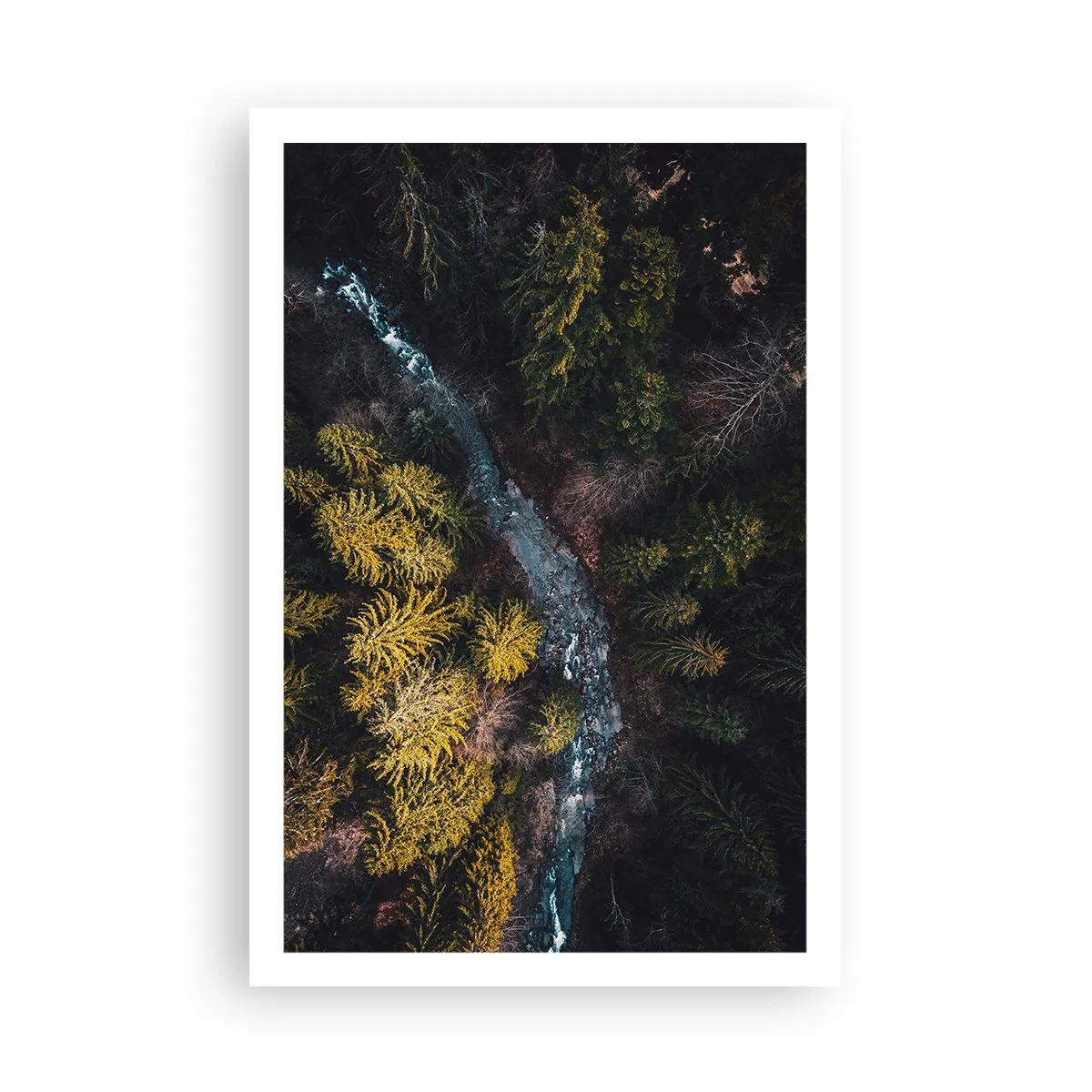 Pôster - Rápido e cada vez mais rápido - 61x91 cm