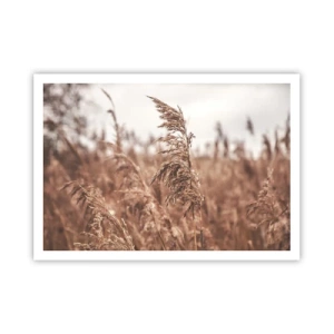 Pôster - O outono já chegou ao campo - 100x70 cm