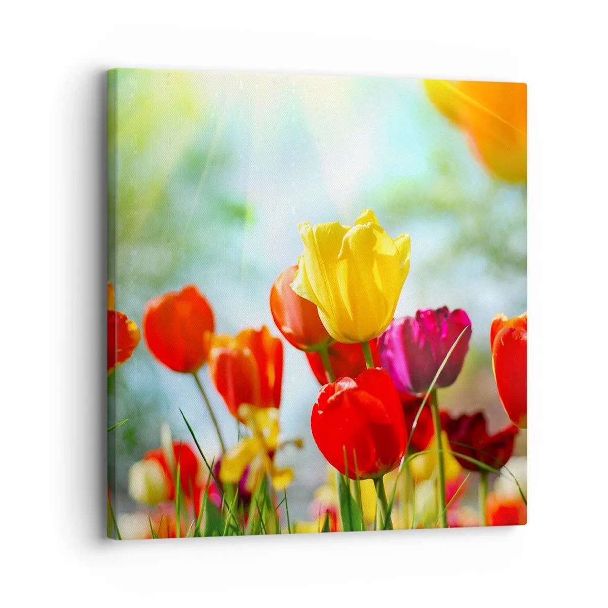 Quadro em tela - Todas as cores do sol - 30x30 cm