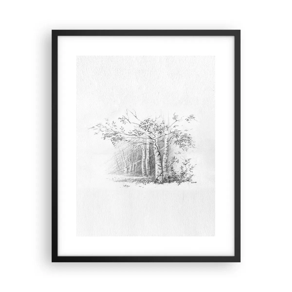 Pôster com moldura preta - Luz da floresta de bétulas - 40x50 cm