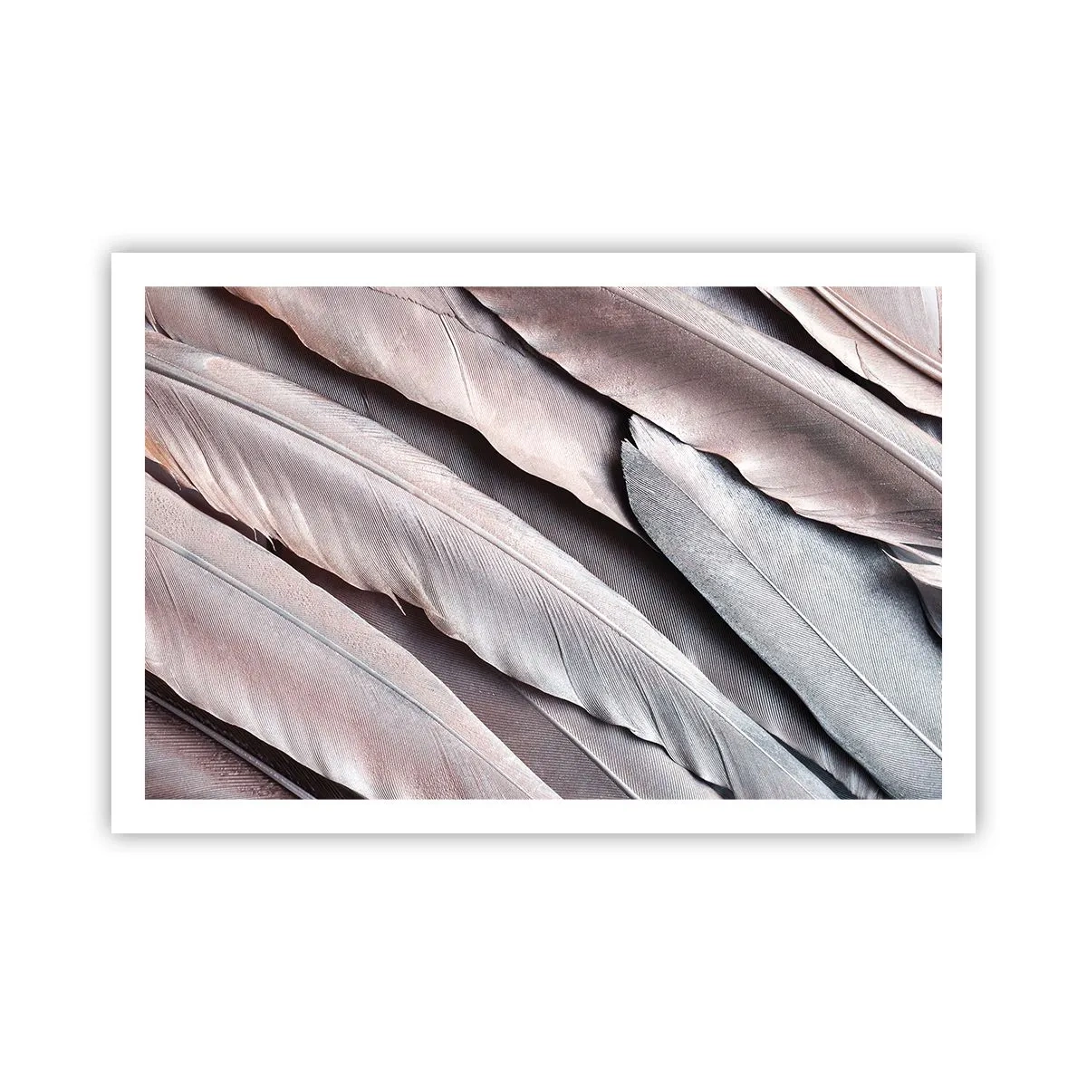 Pôster - Em prateado rosa - 91x61 cm