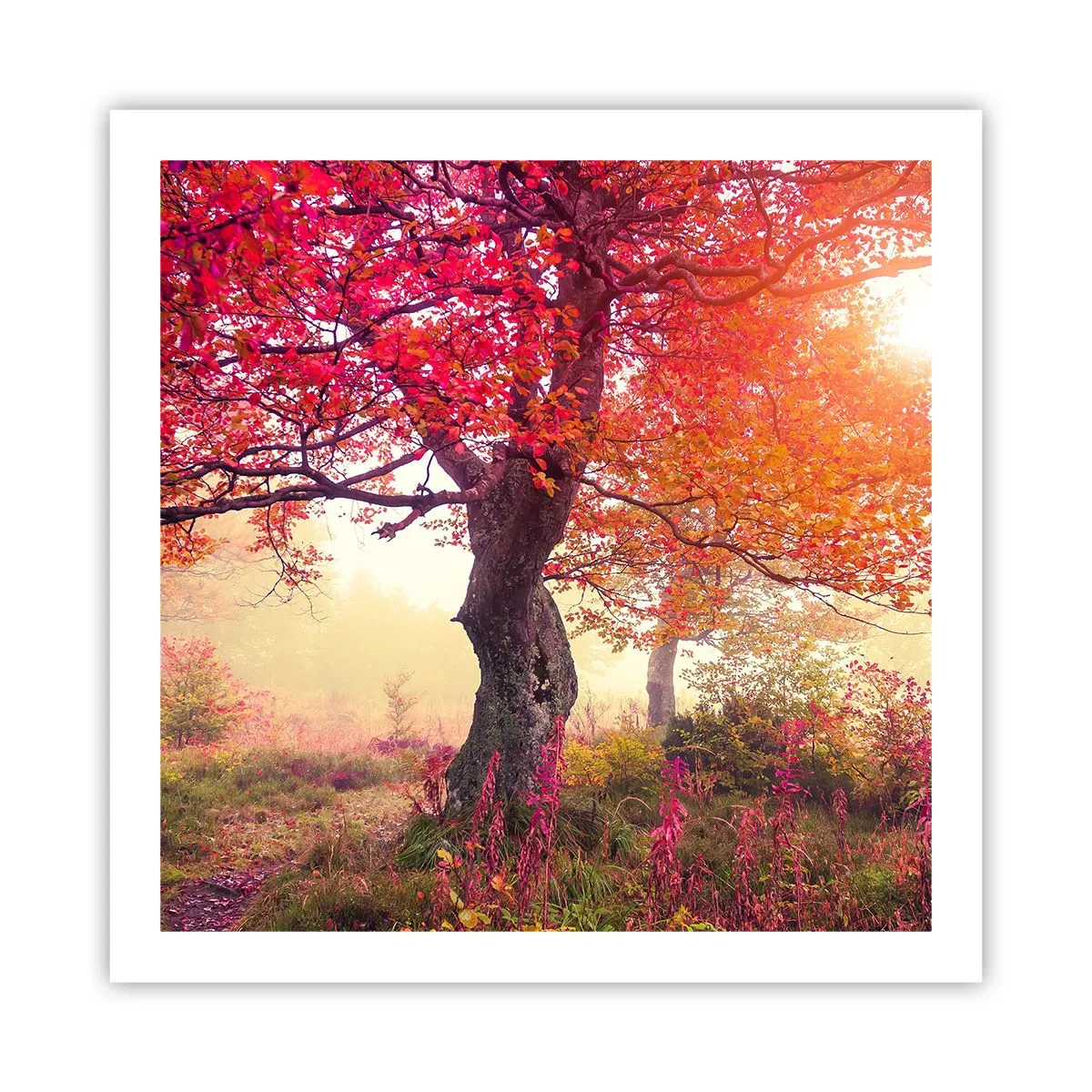 Pôster - Um frenesi de florescimento - 60x60 cm