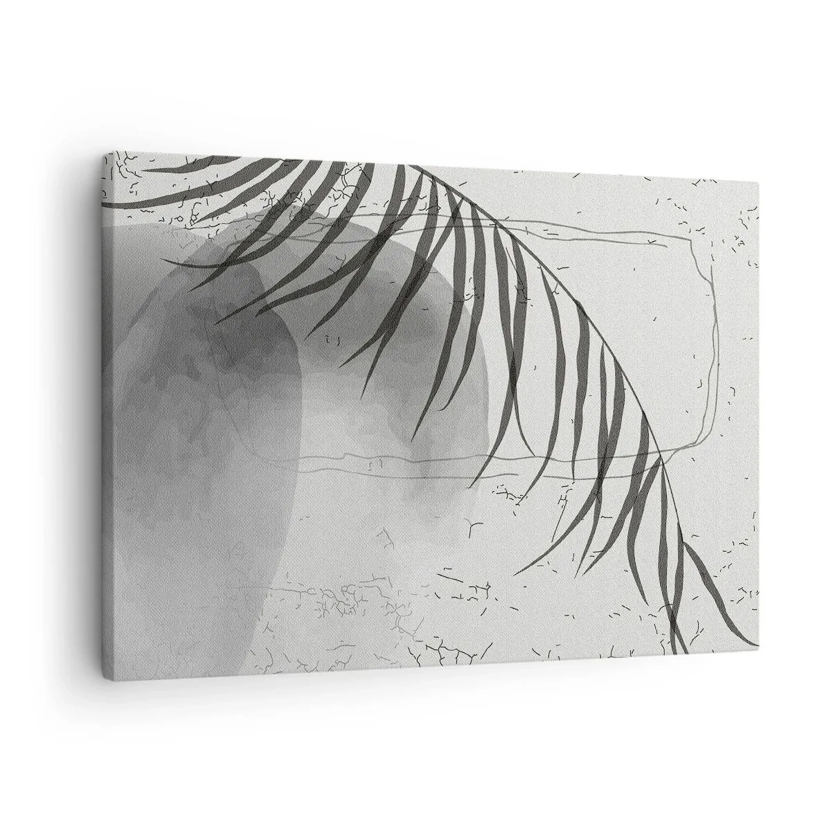 Quadro em tela - Um delicado motivo de folha de palmeira sobre um fundo claro em estilo escandinavo. - 70x50cm - O sutil exotismo da natureza - Decoração de parede moderna para a sala de estar e quarto ARTTOR