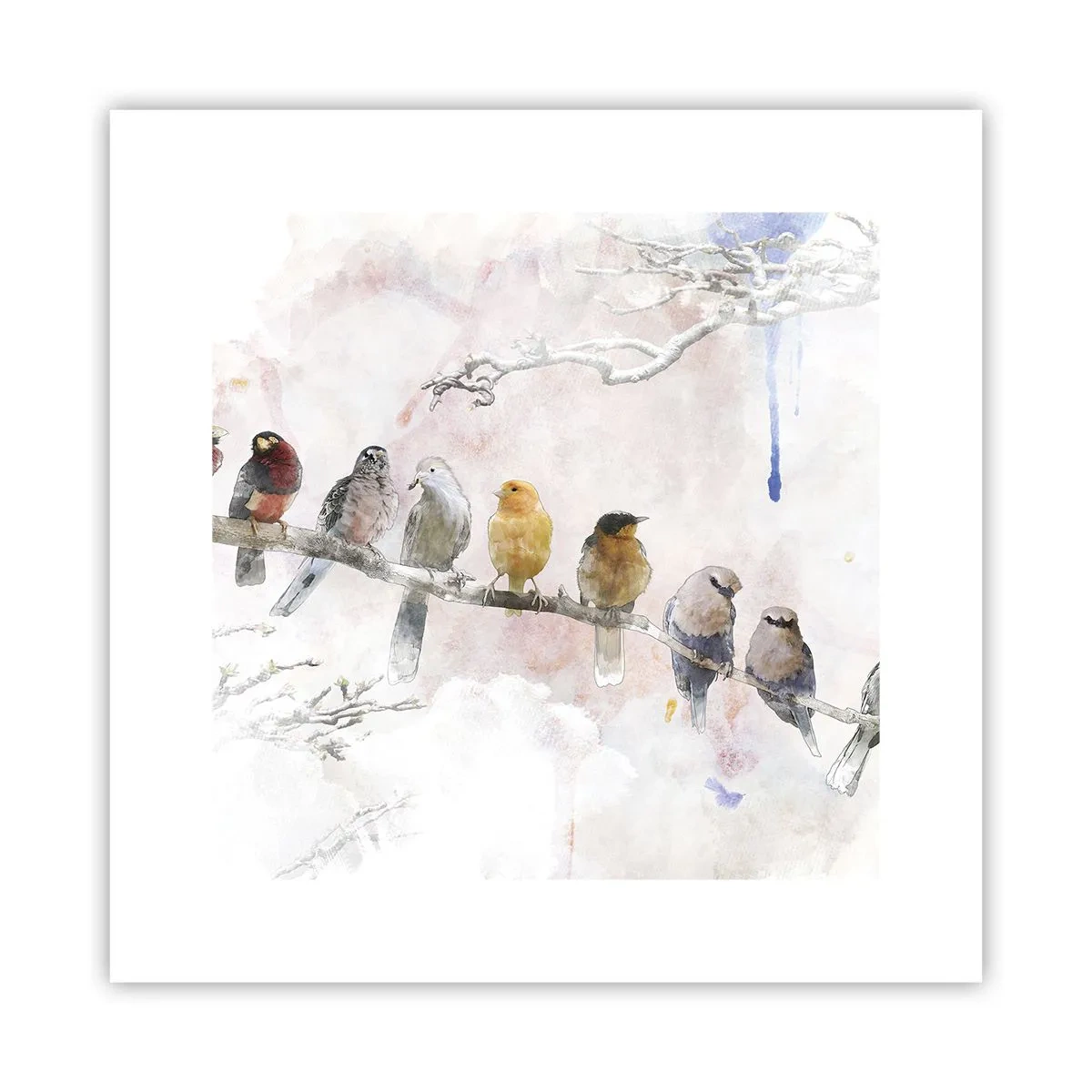 Pôster - Reunião alada - 30x30 cm