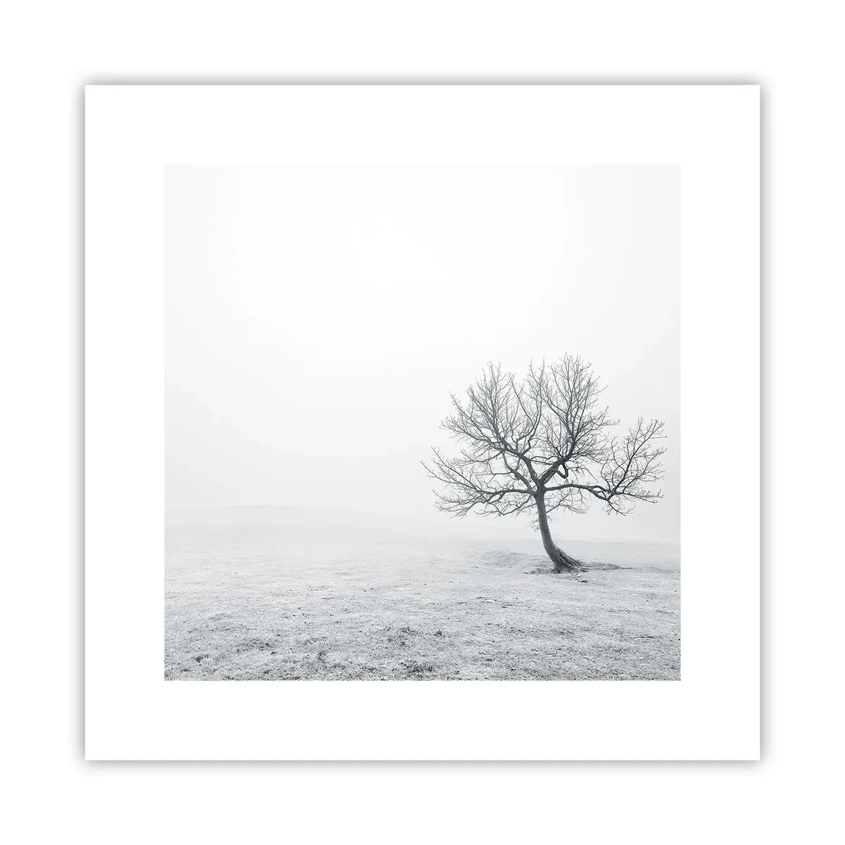 Pôster - Contra o nada - 30x30 cm