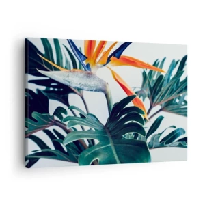 Quadro em tela - Flor de Strelitzia cercada por folhas em luz brilhante - 70x50cm - Arbusto de passarinho - Decoração de parede moderna para a sala de estar e quarto ARTTOR