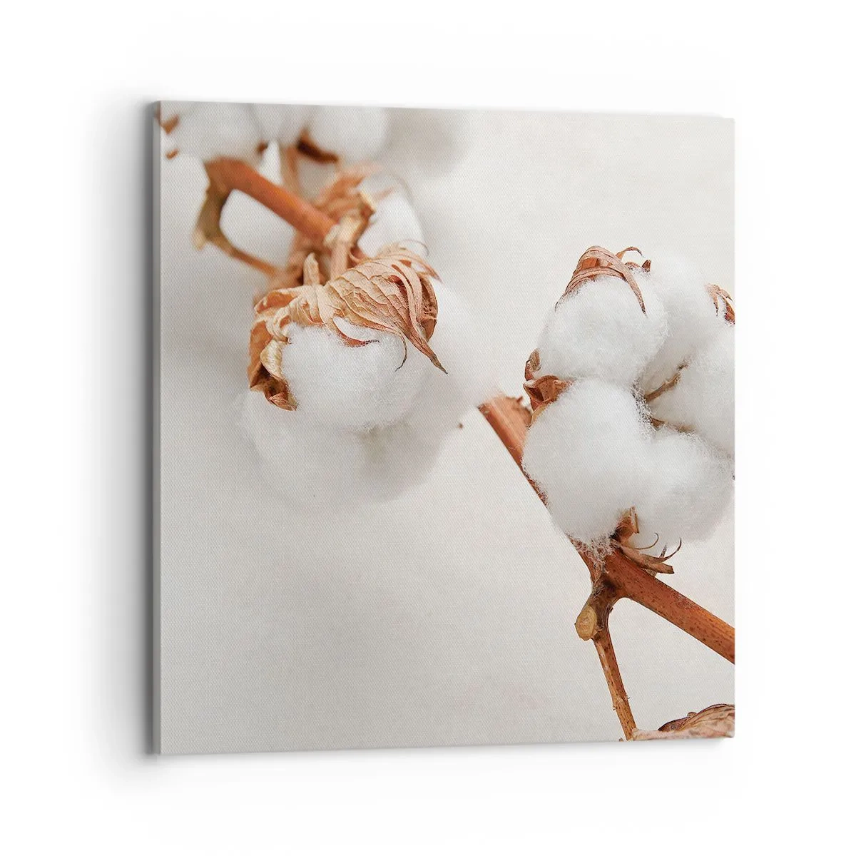 Quadro em tela - Apenas acaricie - 70x70 cm