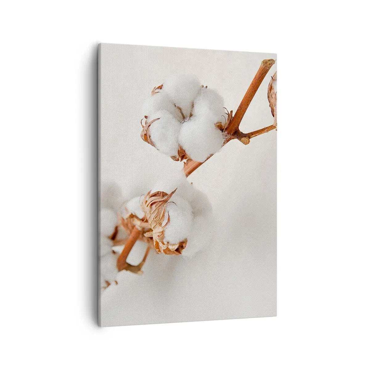 Quadro em tela - Apenas acaricie - 50x70 cm