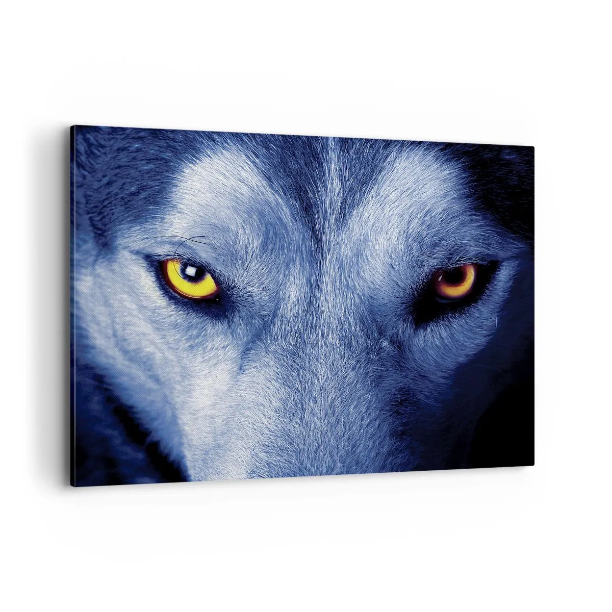 Quadro em tela - Olhar hipnotizante - 100x70 cm