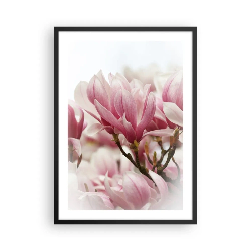Pôster com moldura preta - Flores da primavera - 50x70cm - Flores da primavera - Decoração de parede moderna para a sala de estar e quarto ARTTOR