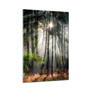 Quadro em vidro - Uma área florestal - 50x70 cm