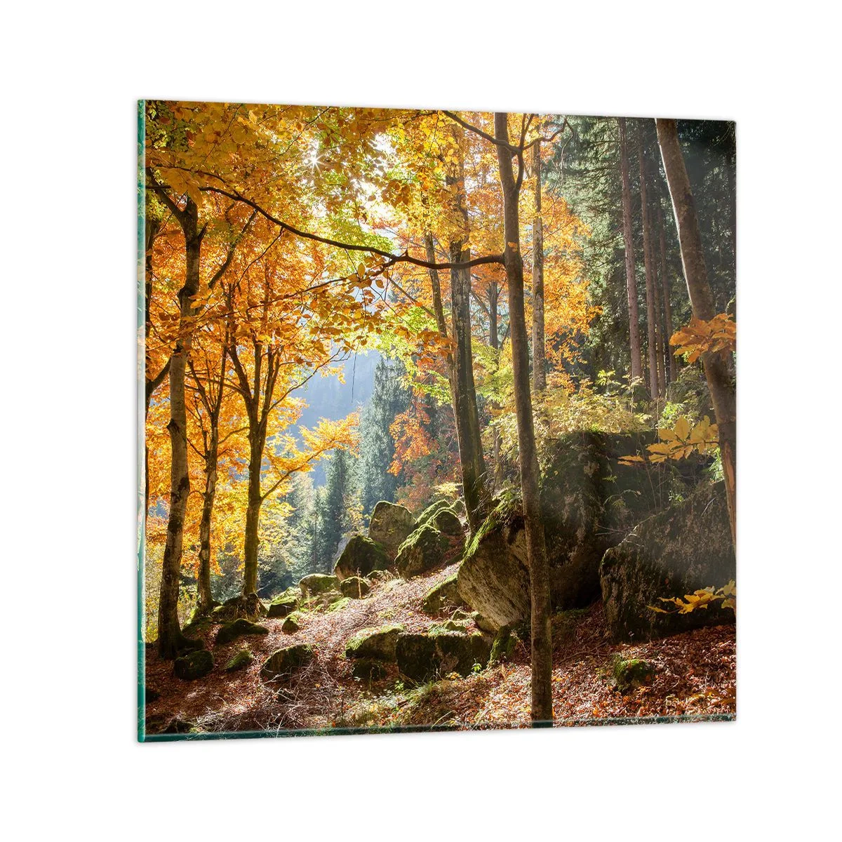 Quadro em vidro - Tempo para descansar - 60x60 cm