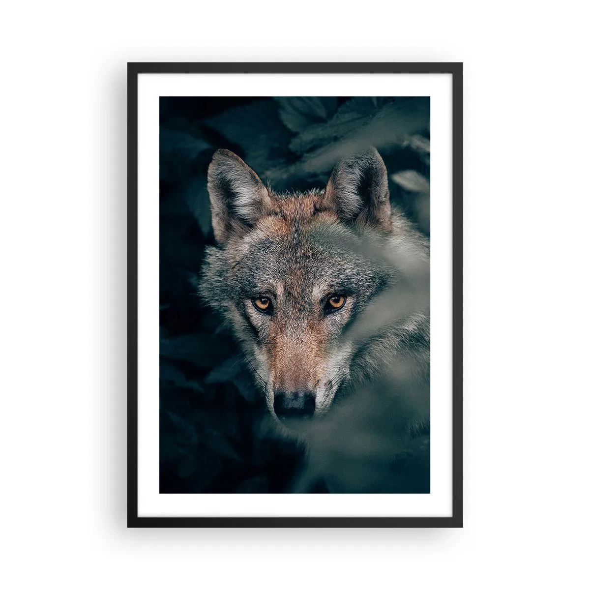 Pôster com moldura preta - Retrato de um lobo em um cenário de floresta misteriosa - 50x70cm - Caçador - Decoração de parede moderna para a sala de estar e quarto ARTTOR