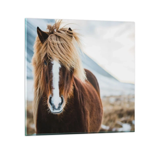 Quadro em vidro - Sentes a liberdade? - 60x60 cm