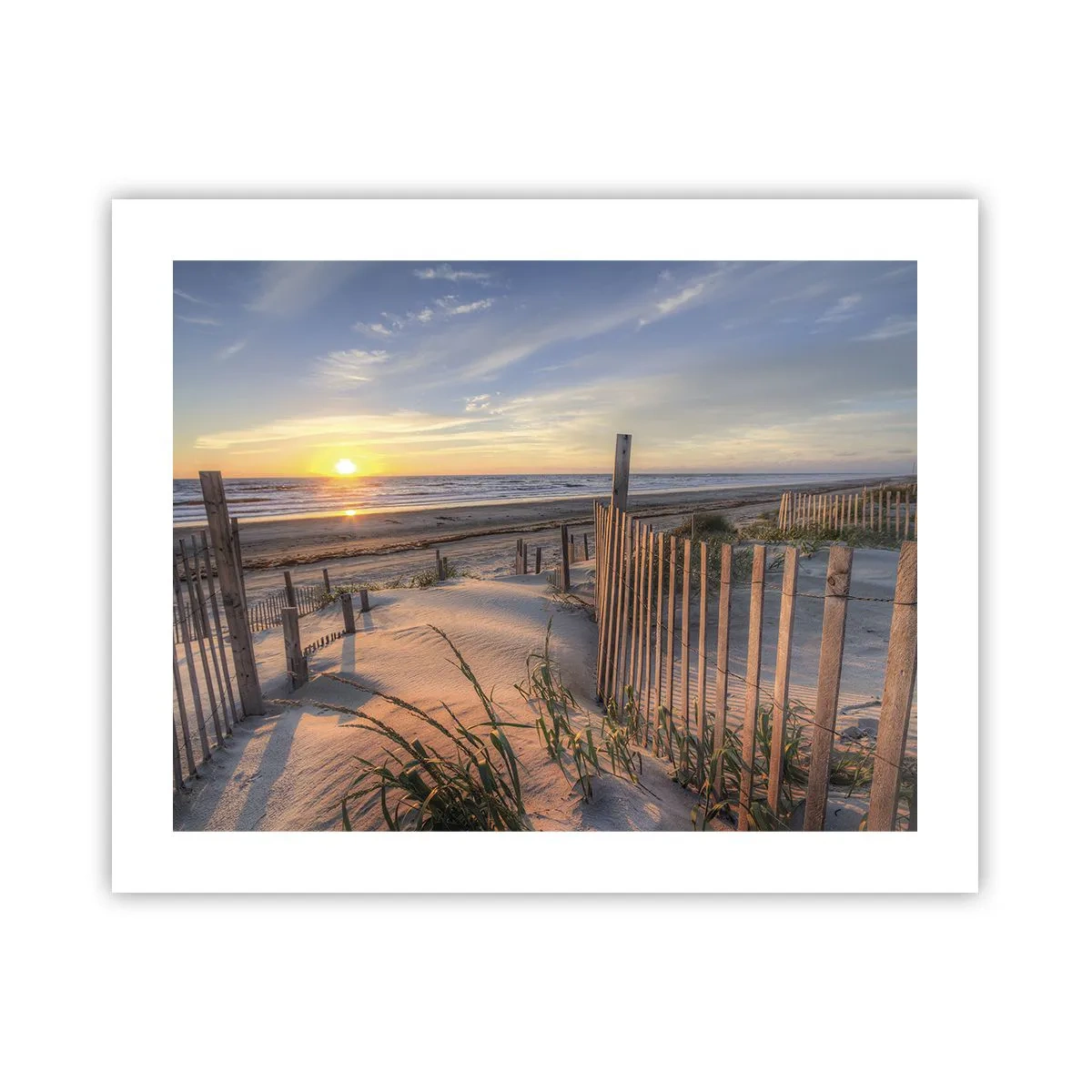 Pôster - Brilho e sombra do vento - 50x40 cm