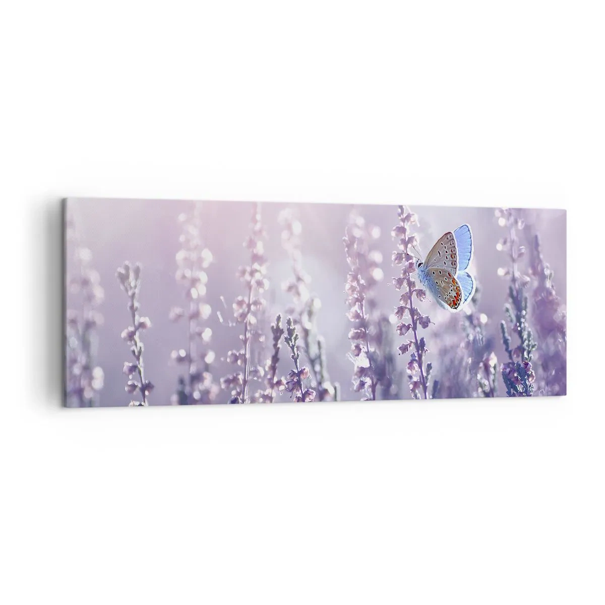 Quadro em tela - O beijo da borboleta - 140x50 cm