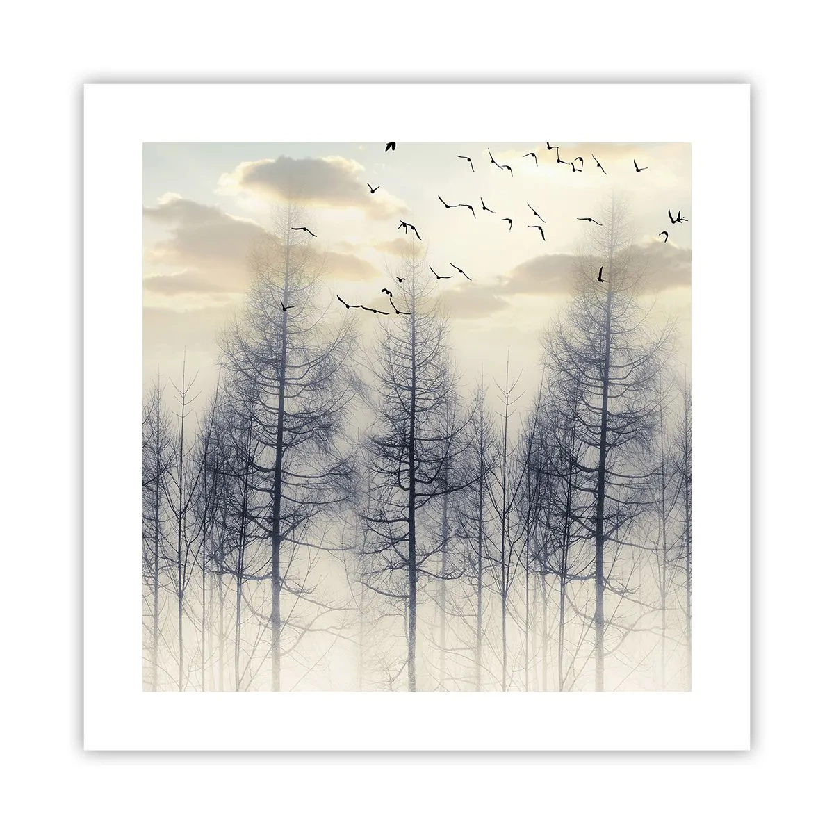 Pôster - Espíritos florestais - 40x40 cm