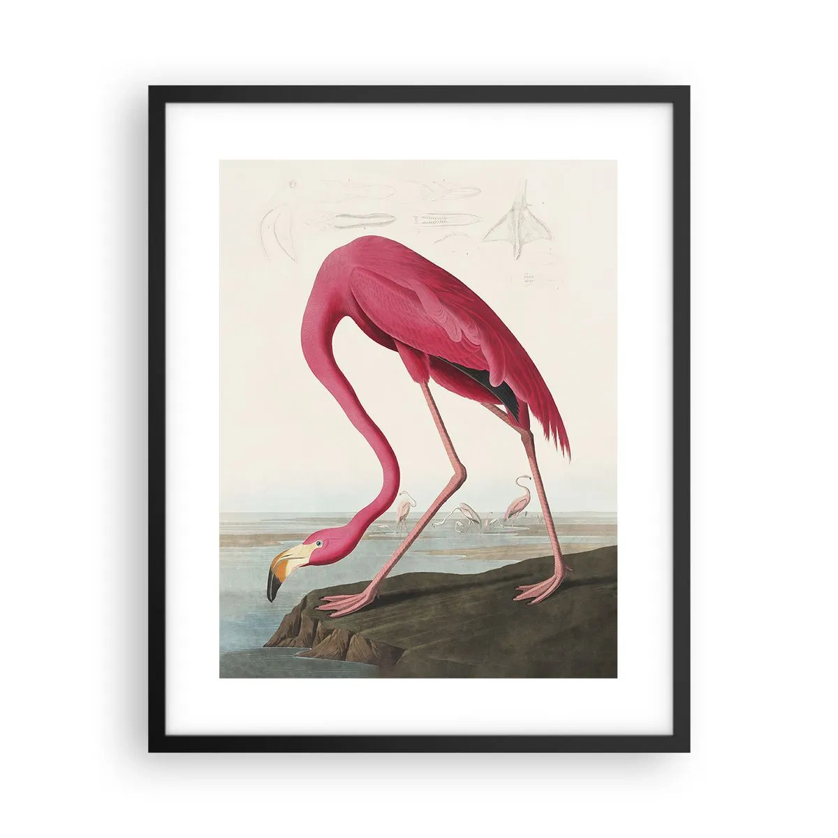 Pôster com moldura preta - Uma criatura surpreendente - 40x50 cm