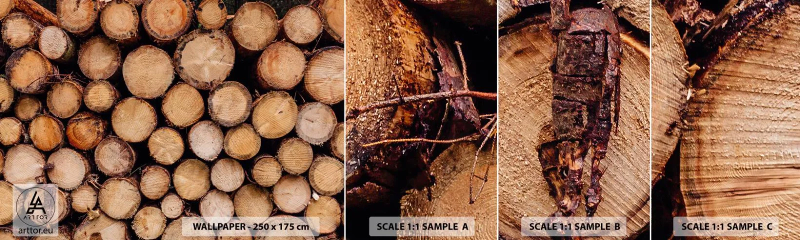 Amostra de Papel de Parede Standard Eco - Um novo começo - Madeira, Troncos de madeira, Natureza - 100x30 cm