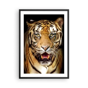 Pôster com moldura preta - Retrato de um tigre em um fundo preto - 50x70cm - Coração selvagem - Decoração de parede moderna para a sala de estar e quarto ARTTOR