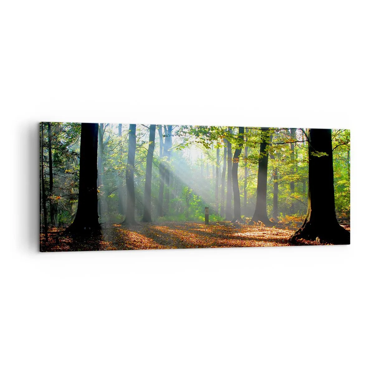 Quadro em tela - Luzes e sombras - 140x50 cm