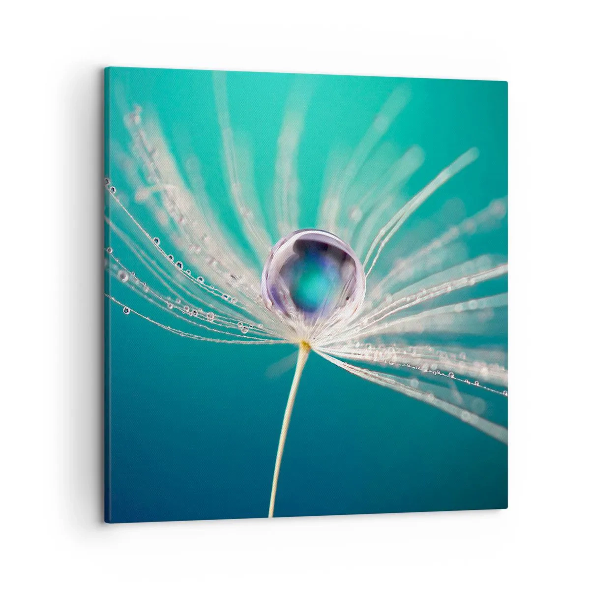 Quadro em tela - Momento místico - 50x50 cm