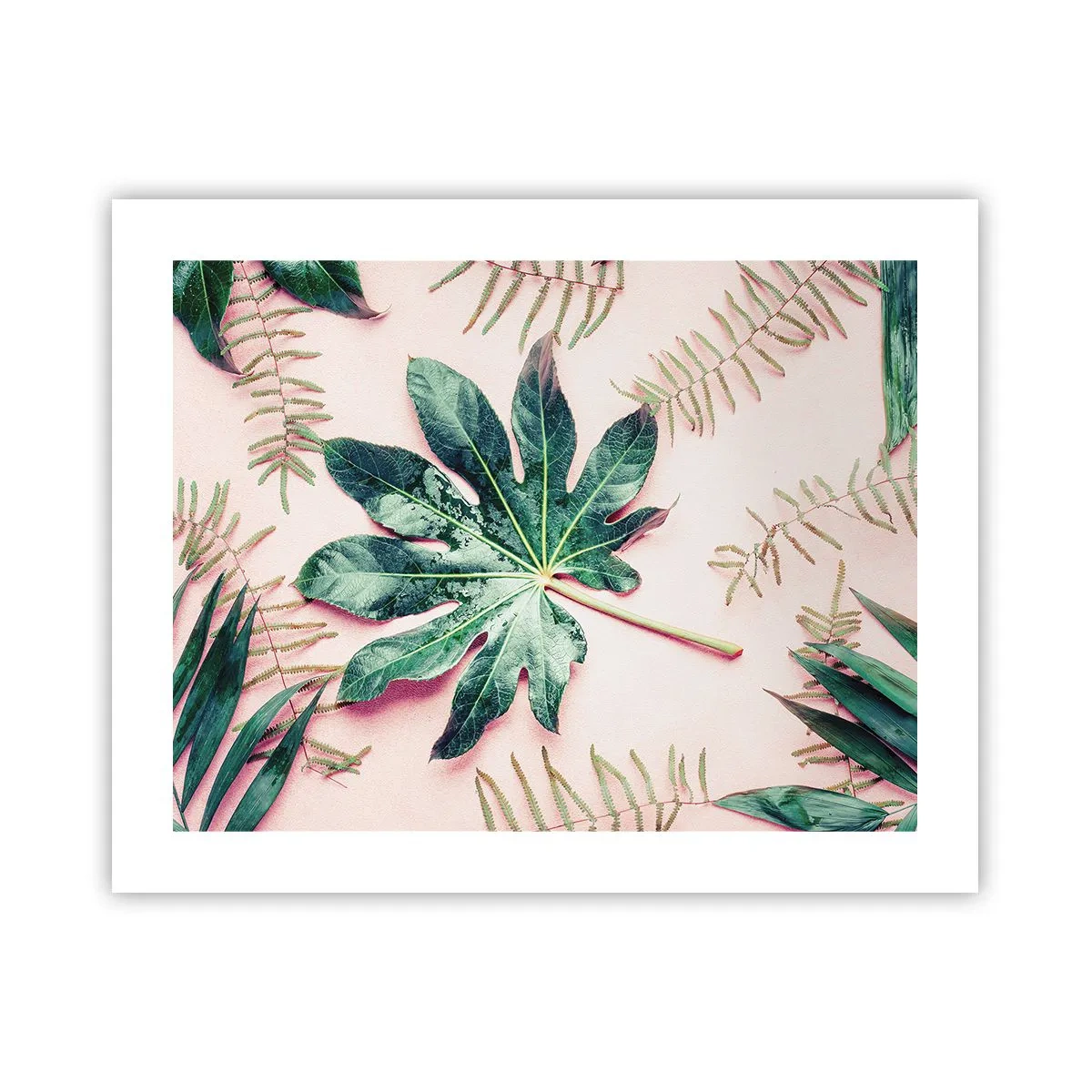 Pôster - Estudo do verde em um fundo rosa - 50x40 cm