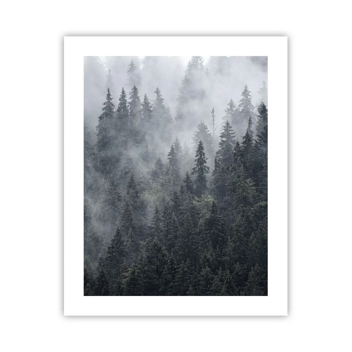 Pôster - O amanhecer da floresta - 40x50 cm