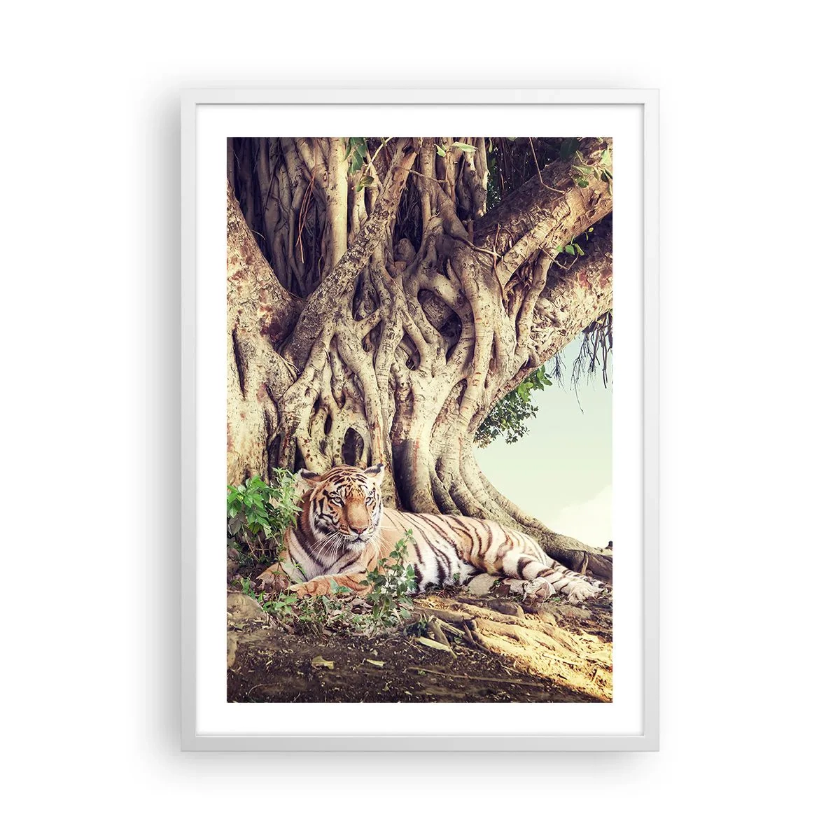 Pôster em moldura branca - Vista do livro de Gênesis - 50x70 cm