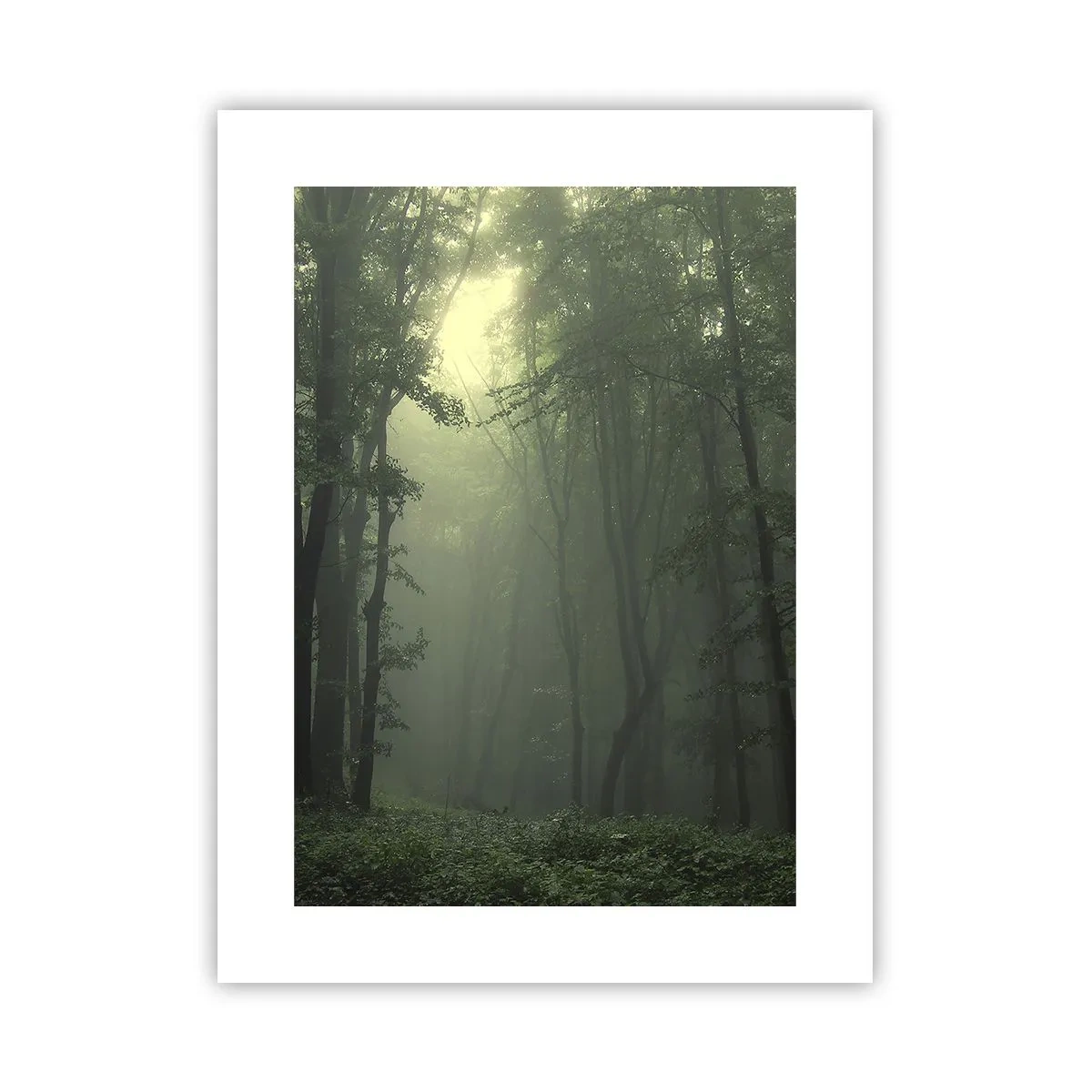 Pôster - Antes de acordar - 30x40 cm