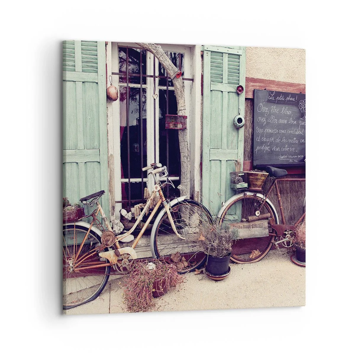 Quadro em tela - Viva a província - 50x50 cm