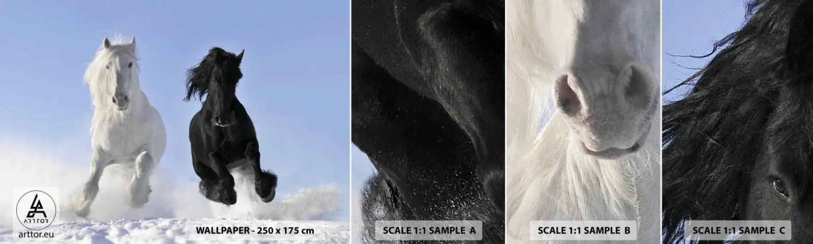 Amostra de Papel de Parede Standard Eco - Galope preto e branco - Animais, Cavalo, Inverno - 100x30 cm