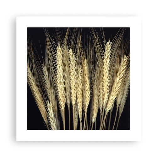 Pôster - Magia rústica - 40x40 cm