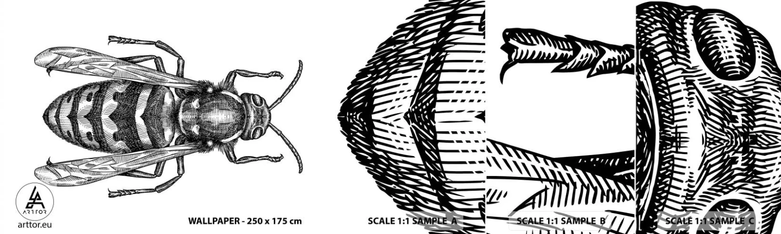 Amostra de Papel de Parede Standard Eco - De um planeta de insetos - Vespa, Inseto, Minimalista - 100x30 cm