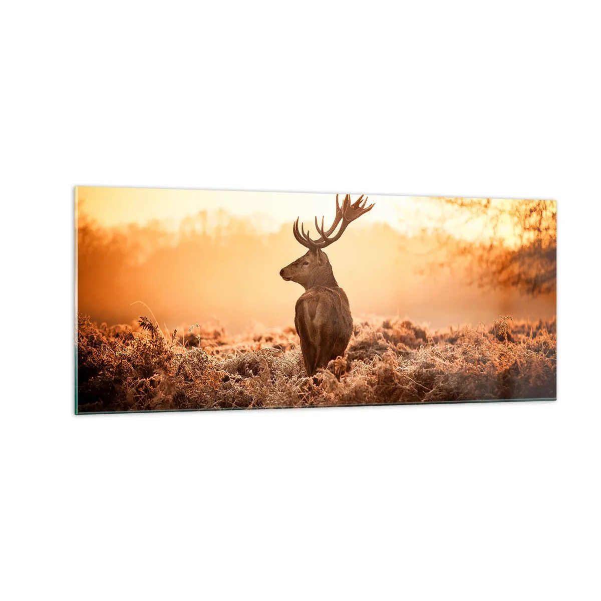 Quadro em vidro - O senhor da propriedade - 100x40 cm