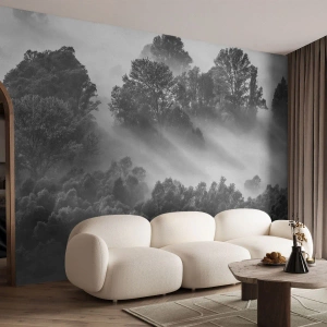 Papel de Parede Premium Sand - Levantar-se do sono - Paisagem, Floresta, Névoa - 100x70 cm