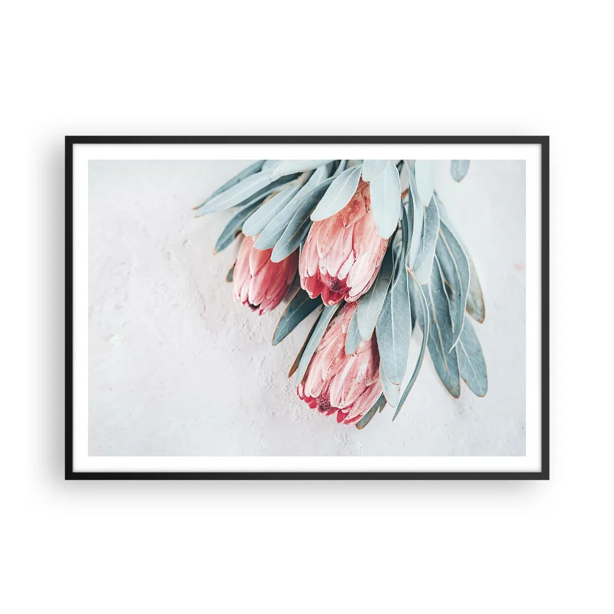 Pôster com moldura preta - Envergonhadas da sua própria beleza - 100x70 cm