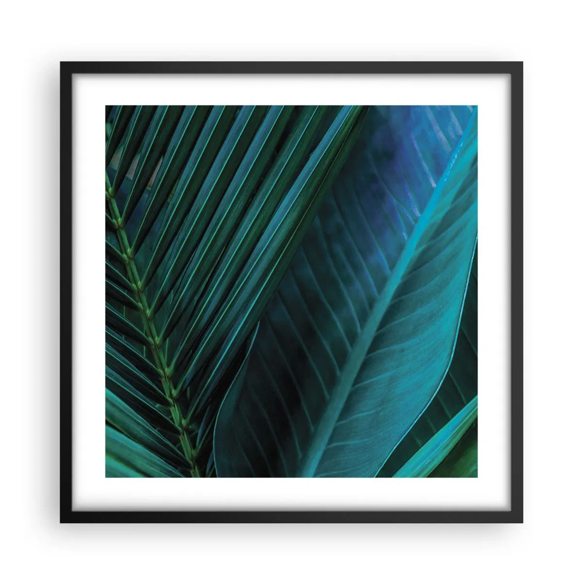 Pôster com moldura preta - Anatomia da vegetação - 50x50 cm