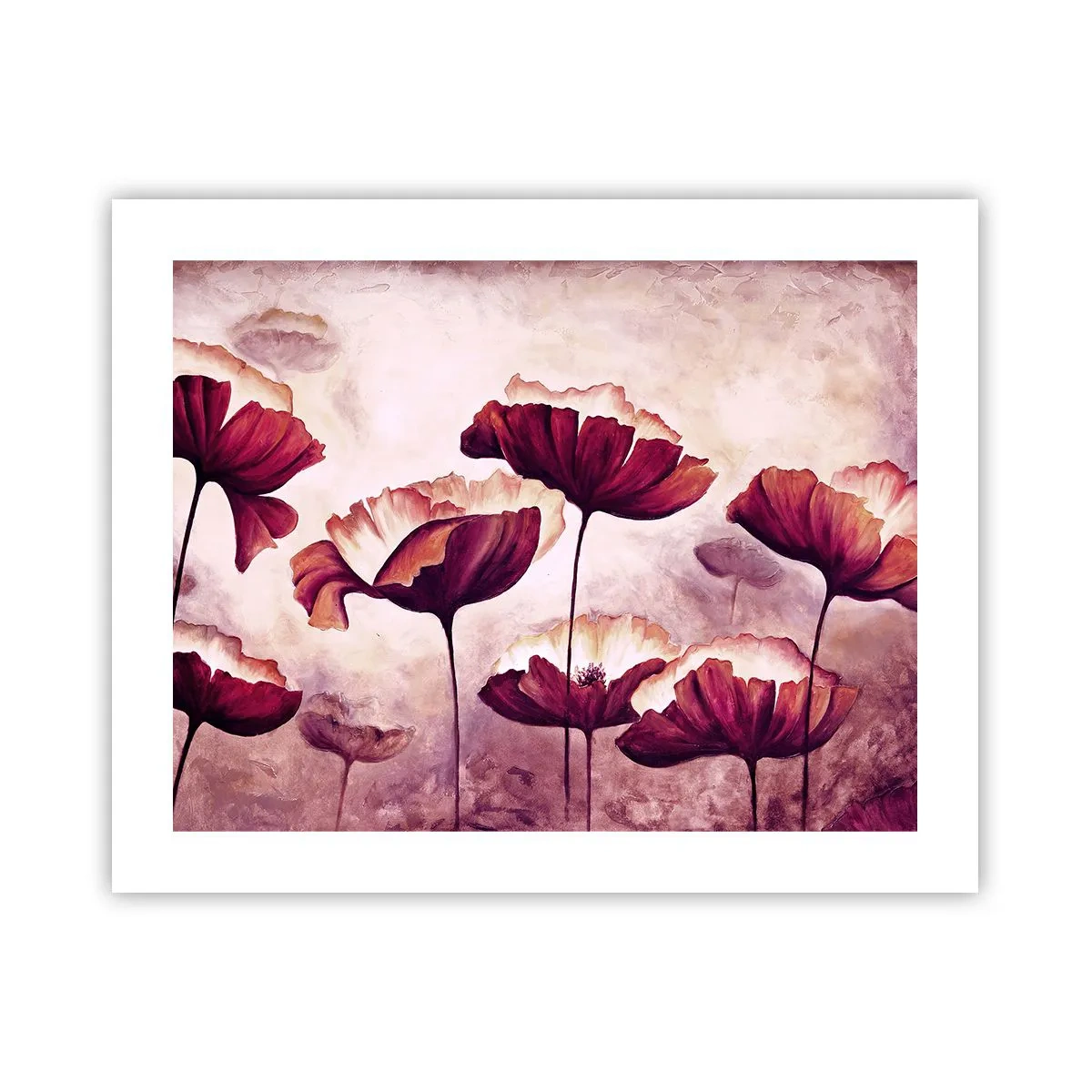 Pôster - Pétala vermelha e branca - 50x40 cm