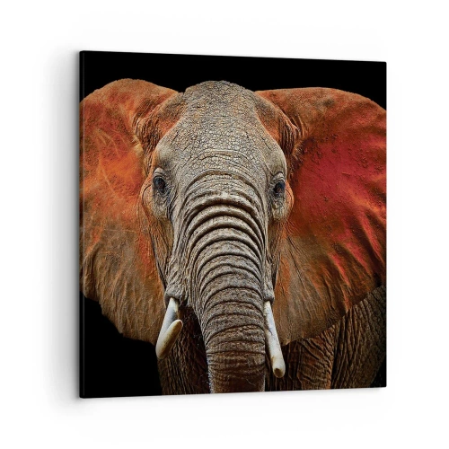 Quadro em tela - Eu sou selvagem, e você? - 50x50 cm