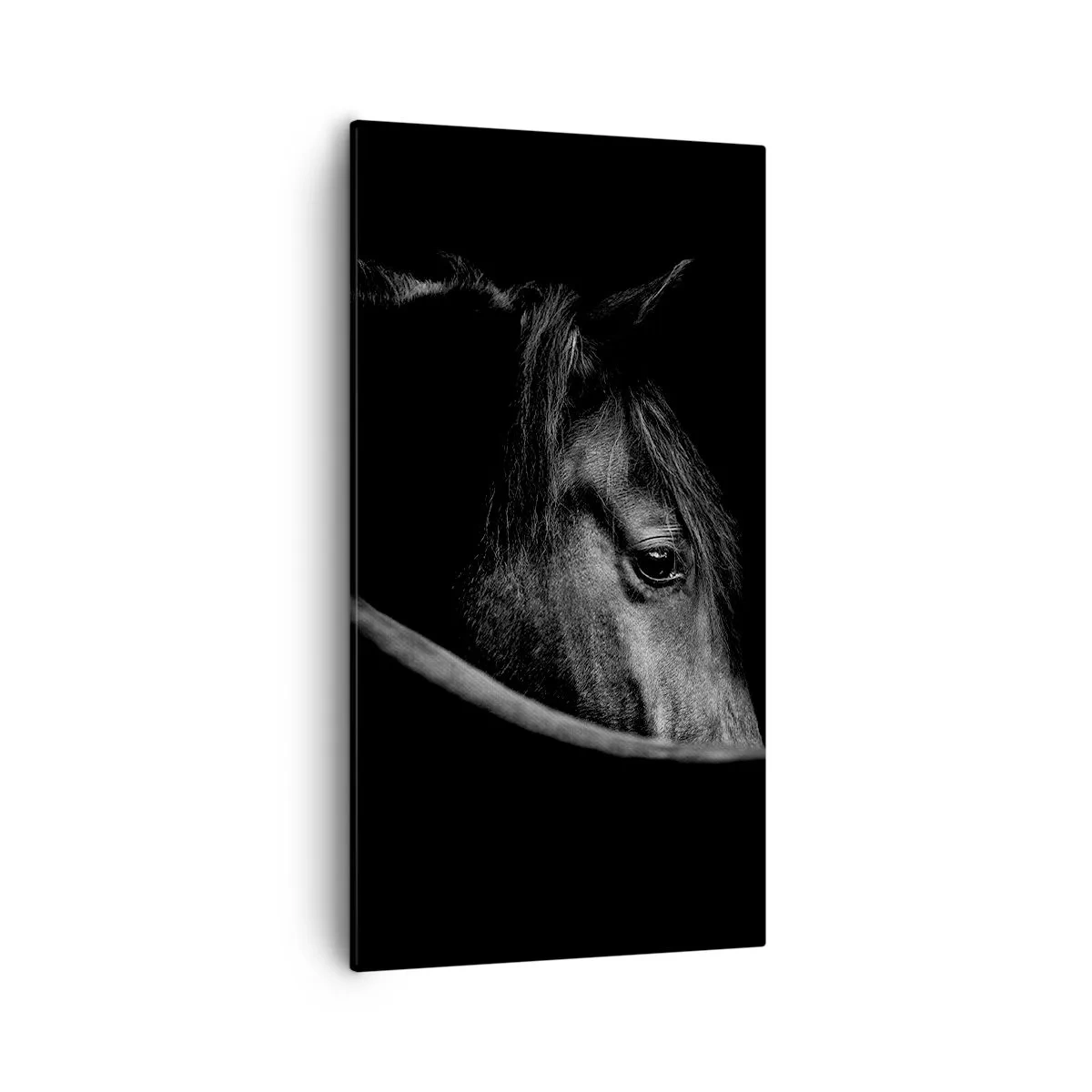 Quadro em tela - Príncipe Negro - 55x100 cm