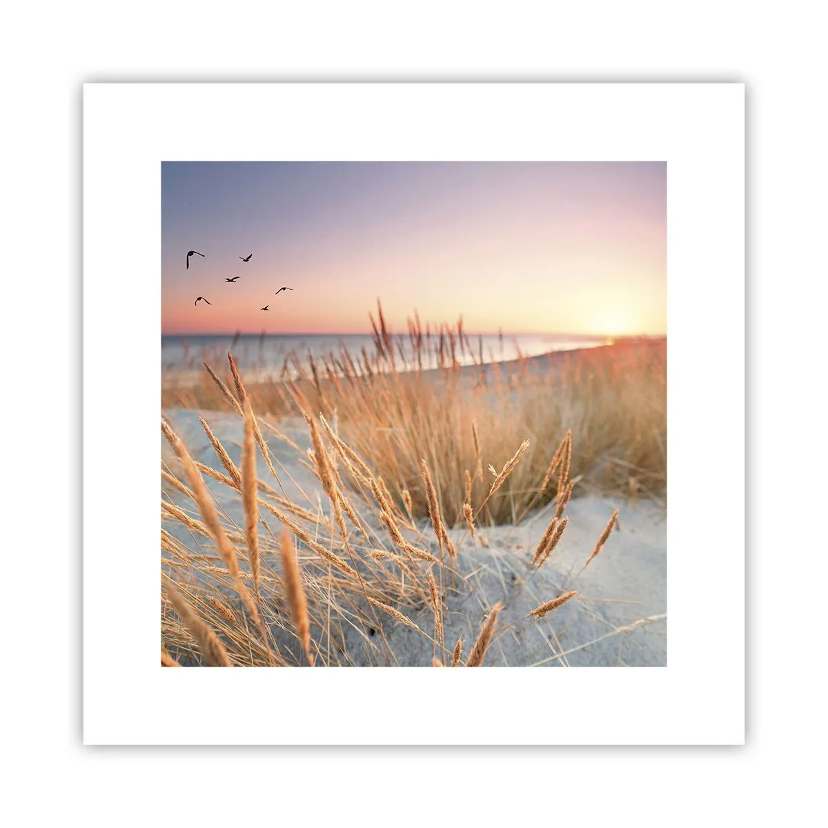 Pôster - Uma canção de embalar do Báltico - 30x30 cm