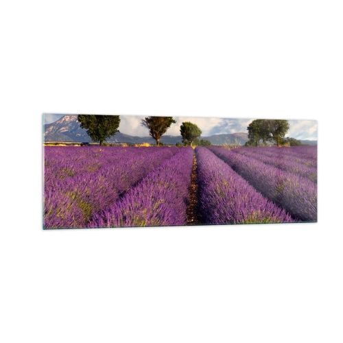 Quadro em vidro - Prados de lavanda - 140x50 cm