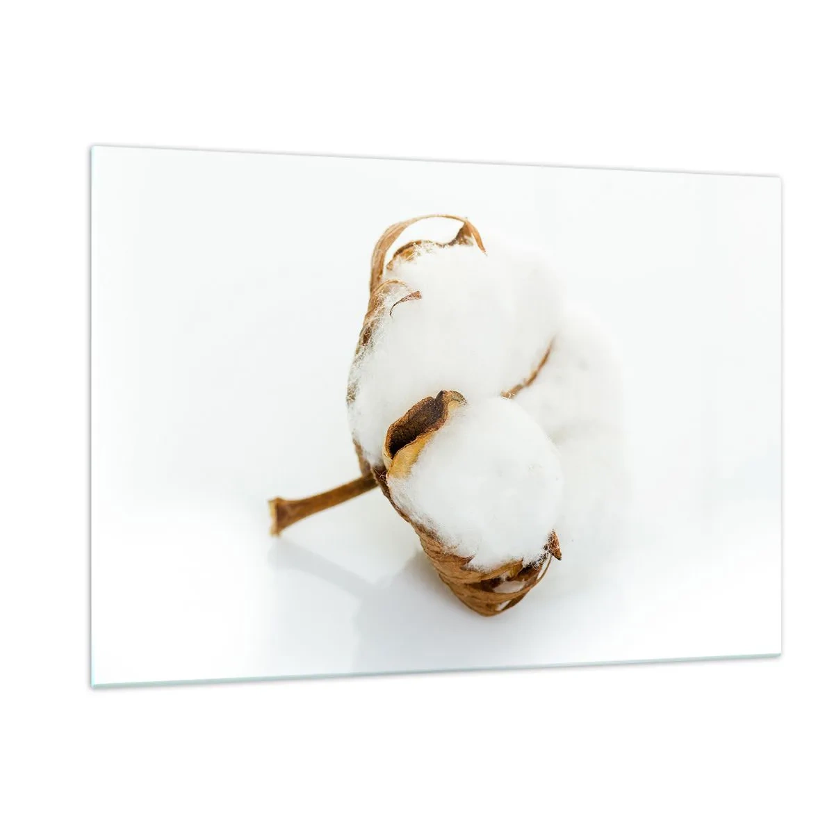 Quadro em vidro - Suave por natureza - 120x80 cm