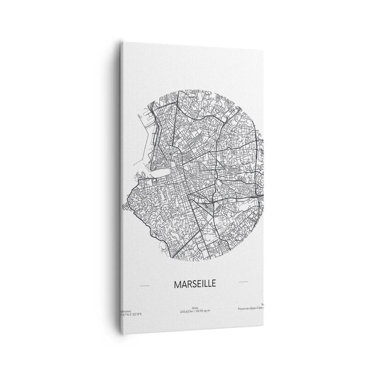 Quadro em tela - Anatomia de Marselha - 55x100 cm