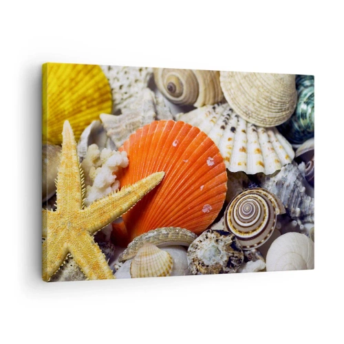 Quadro em tela - Conchas e estrelas do mar em uma composição marinha - 70x50cm - Tesouros do oceano - Decoração de parede moderna para a sala de estar e quarto ARTTOR