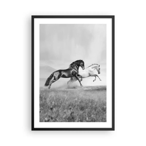 Pôster com moldura preta - Cavalos pretos e brancos galopando dinamicamente contra um fundo de campo - 50x70cm - Anjos e demônios - Decoração de parede moderna para a sala de estar e quarto ARTTOR