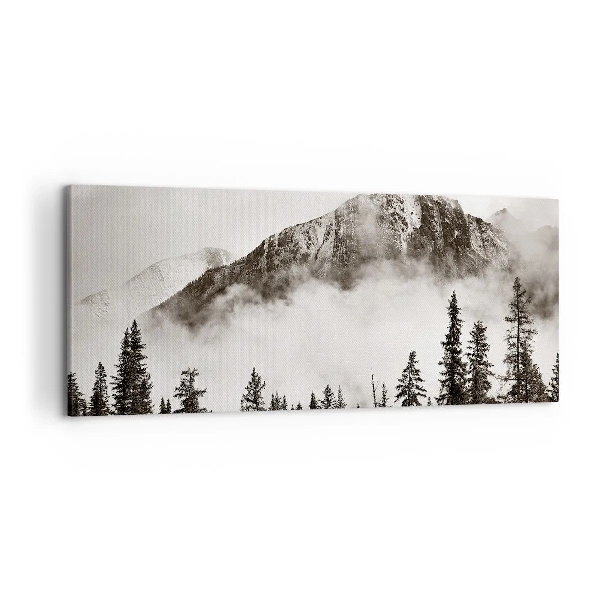 Quadro em tela - O soberano de granito - 100x40 cm